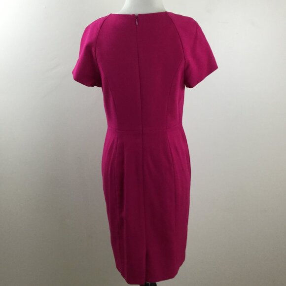 The Limited Raspberry Dress 4 - Picture 5 of 9